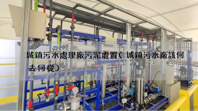 城鎮污水處理廠污泥處置(城鎮污水廠該何去何從)